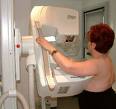 Sistema Endocrino