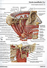 Articulosdemedicina.com