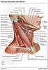 articulosdemedicina.com