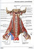 articulosdemedicina.com