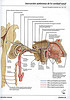 Articulosdemedicina.com