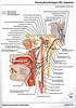 ArticulosdeMedicina.com