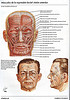 ArticulosdeMedicina.com