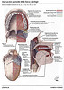 articulosdemedicina.com