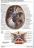ArticulosdeMedicina.com
