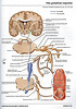 ArticulosdeMedicina.com
