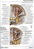 Articulosdemedicina.com