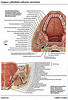 articulosdemedicina.com