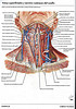 articulosdemedicina.com