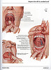 articulosdemedicina.com