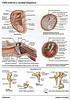 ArticulosdeMedicina.com