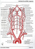 ArticulosdeMedicina.com