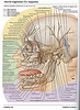ArticulosdeMedicina.com